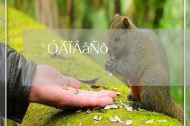 潍坊潍坊讨债公司服务