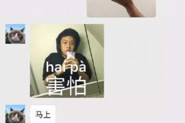 潍坊潍坊专业催债公司的催债流程和方法